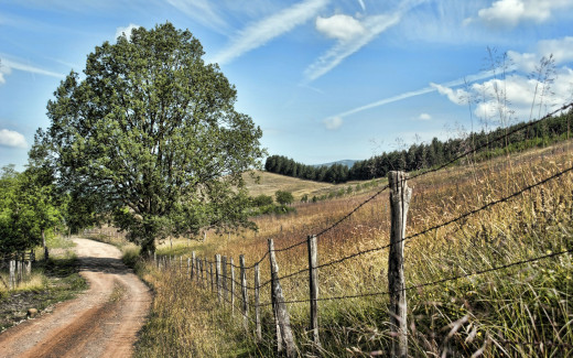 494389 (a): :2560x1600